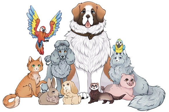 Turvasiru - Tuo kadonneen kaverin takaisin.